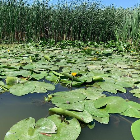 Gorgova Delta Village Buitenkant foto