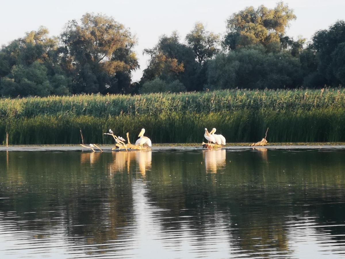 Gorgova Delta Village Buitenkant foto