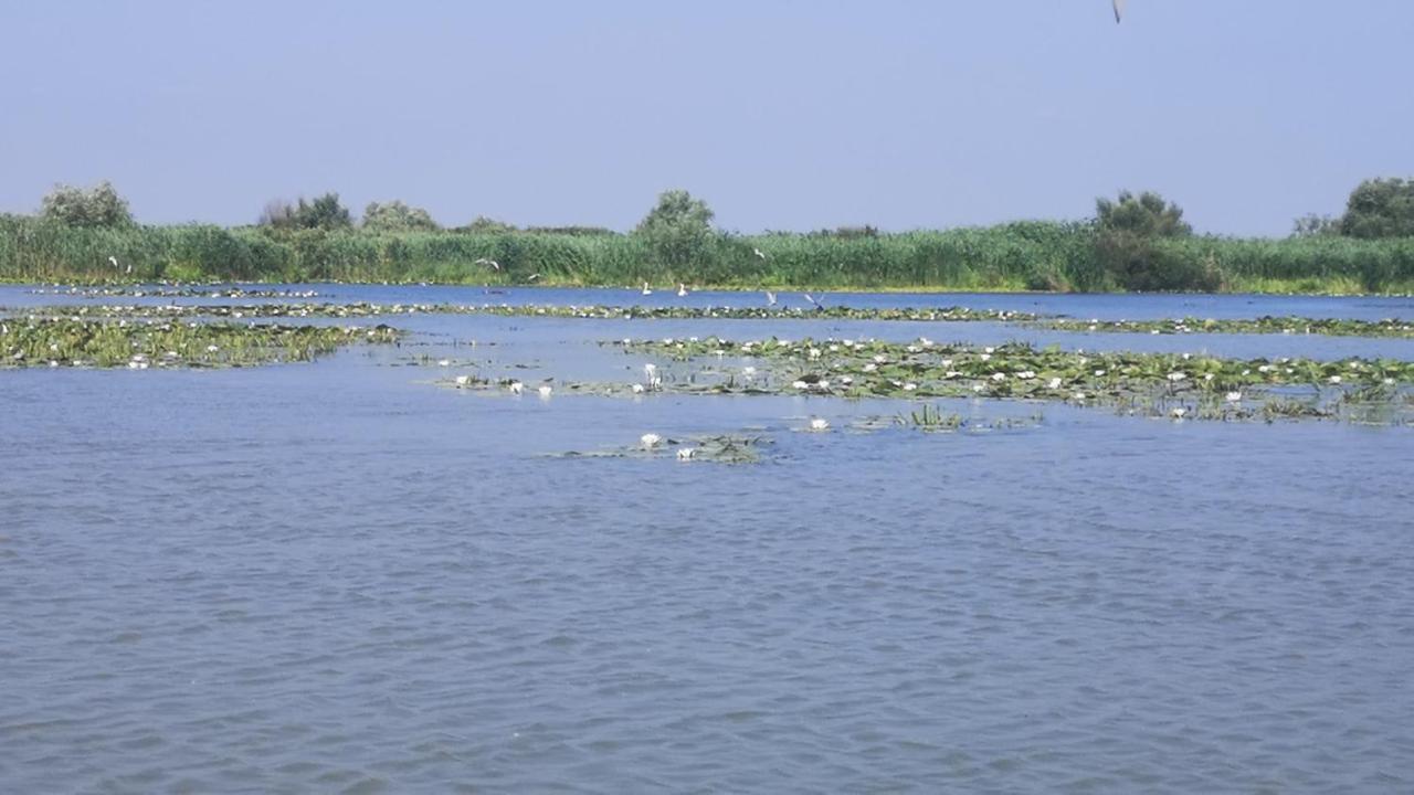 Gorgova Delta Village Buitenkant foto
