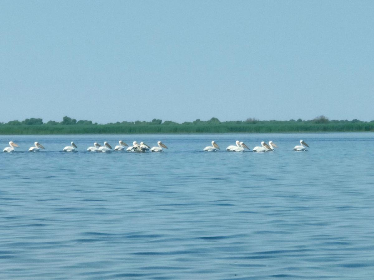 Gorgova Delta Village Buitenkant foto
