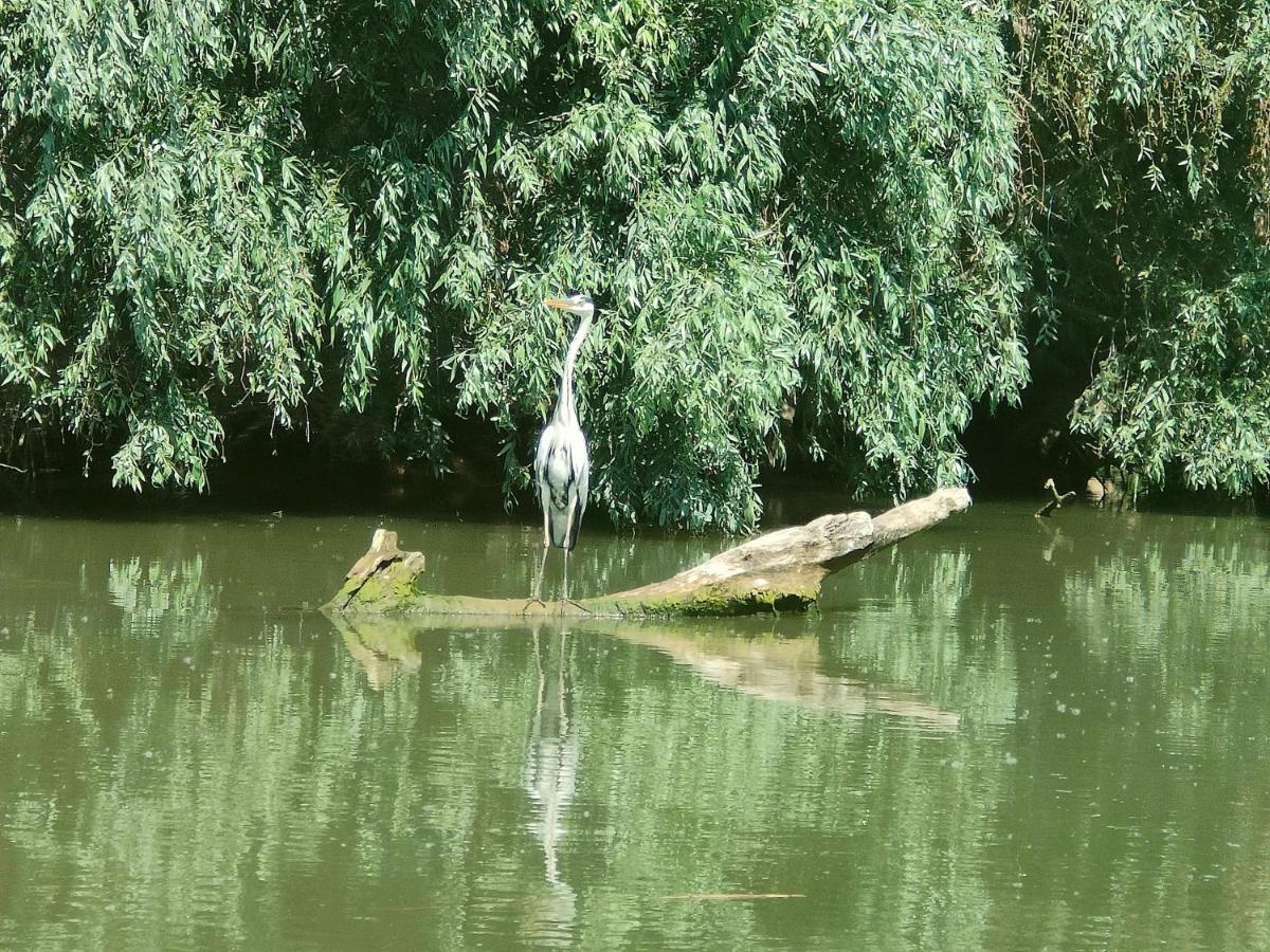 Gorgova Delta Village Buitenkant foto