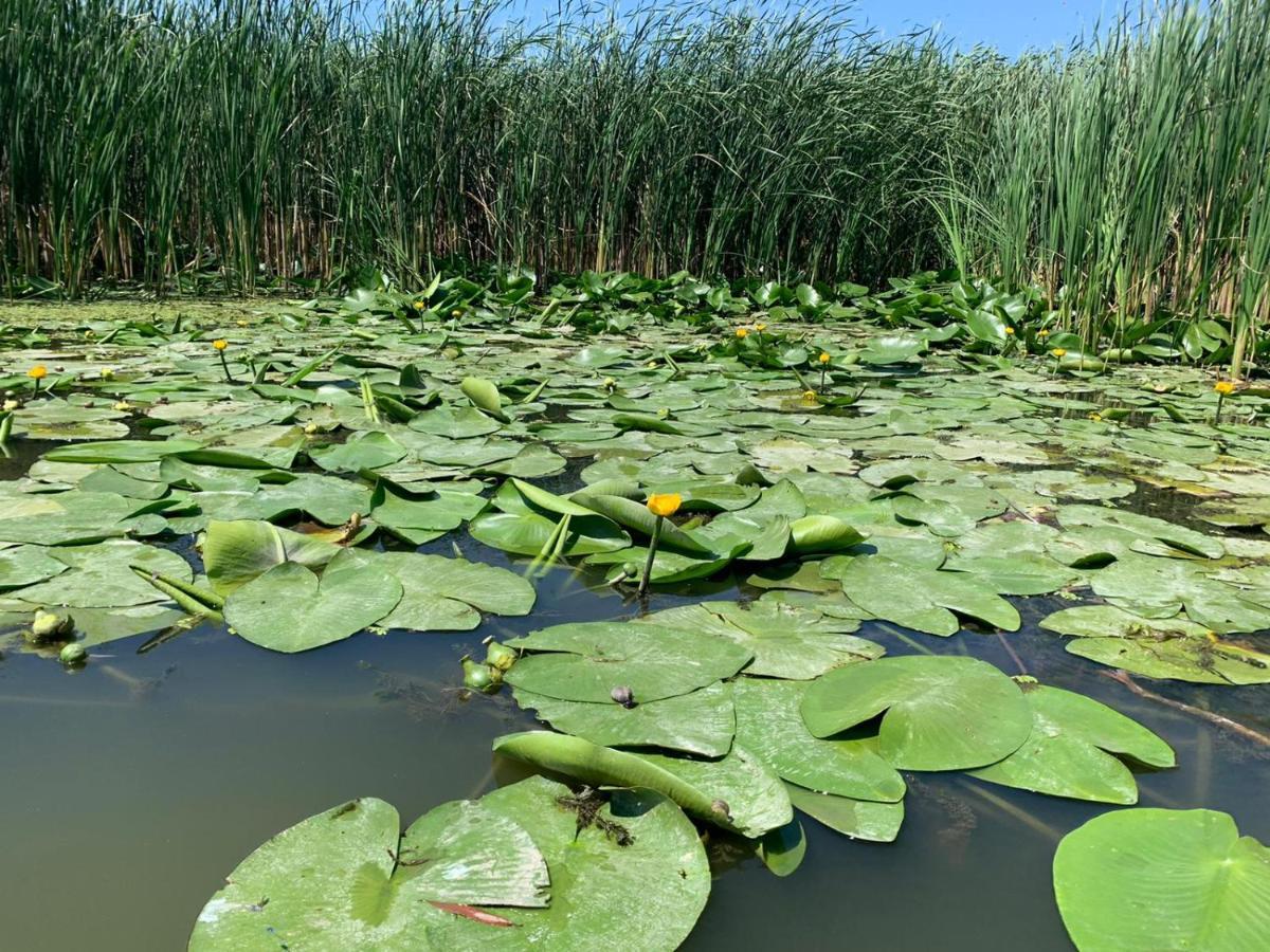 Gorgova Delta Village Buitenkant foto